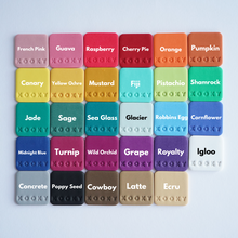 Load image into Gallery viewer, Instax Camera Earrings