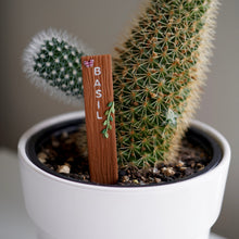 Load image into Gallery viewer, Plant Stakes - Herbs & Veggies