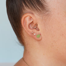 Load image into Gallery viewer, Into the Garden Stud Packs