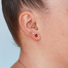 Load image into Gallery viewer, Lady Bug Earrings