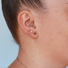 Load image into Gallery viewer, Monarch Butterfly Earrings