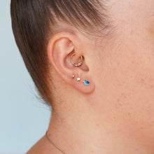 Load image into Gallery viewer, Bird House Earrings