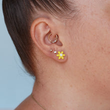 Load image into Gallery viewer, Into the Garden Stud Packs