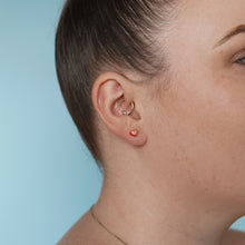 Load image into Gallery viewer, Ty Tag Earrings