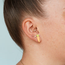 Load image into Gallery viewer, Carrot Studs