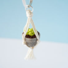 Load image into Gallery viewer, Hanging Plant Keyring - In Stock