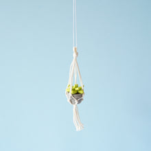 Load image into Gallery viewer, Car Hangers - In Stock