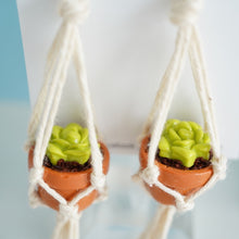 Load image into Gallery viewer, Succulent Hanging Plant Earrings